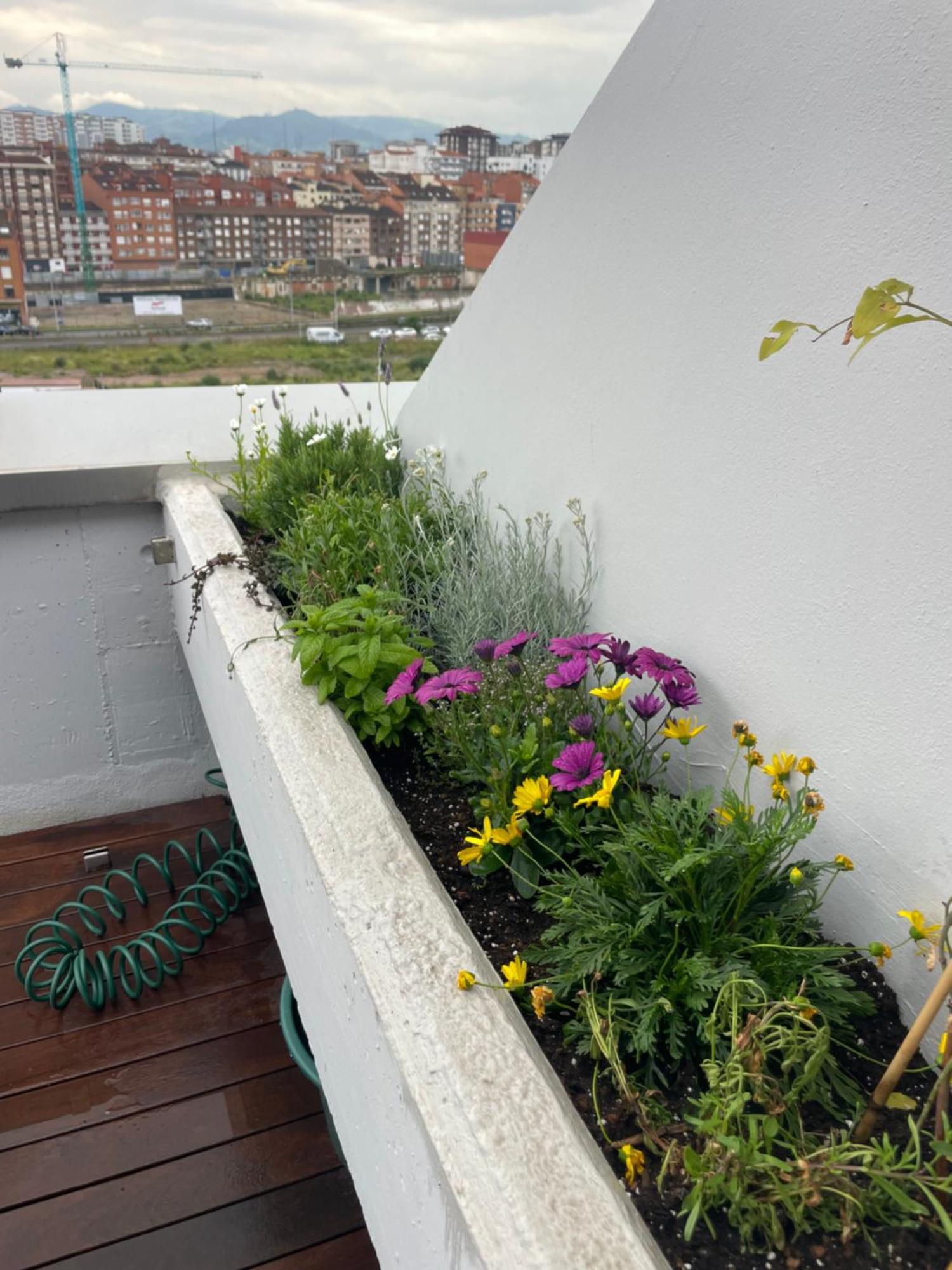 Apartamento El Atico De La Playa Parking Gratis Gijón Exterior foto